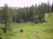 Meadows on the Mcleod River System