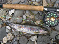 One of the many beautifully coloured rainbows taken from a small creek
