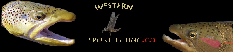 Welcome to Western Sportfishing!
